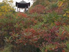景点-云岫谷自然风景区