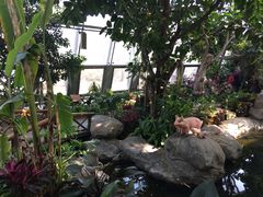 -北京植物园-展览温室