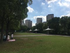 -新江湾城公园