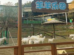 -盈香心动乐园