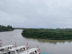 -东寨港红树林旅游区