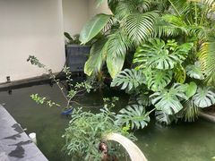 -漫笙舍Manse·咖啡·民宿