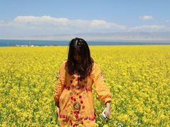 -青海湖国家重点风景名胜区