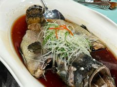 -新海渔港·胶东海鲜家常菜·家宴(奥体中心店)