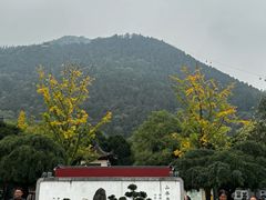 -华清宫景区