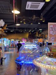 -卡通尼·Safari非洲探索乐园·生日会(金桥国际商业广场店)