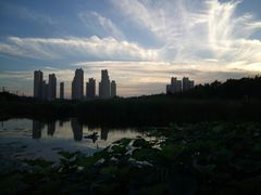 -前关湿地公园