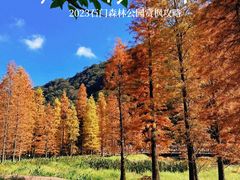 -广州市石门国家森林公园