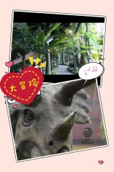 -恐龙探索乐园(磁器口店)