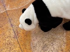 -曹州牡丹园