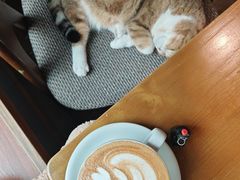 -咖法森林·咖啡  酒吧(天河店)