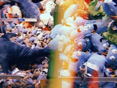 -宜家家居(西安未央商场店)