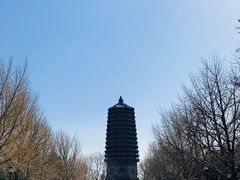 -玲珑塔公园