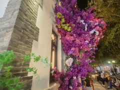-百花洲