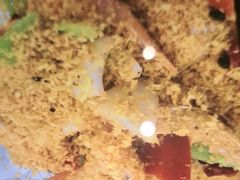 -天天渔港(杏林街店)