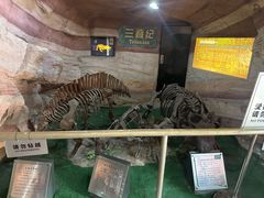 -河南自然博物馆