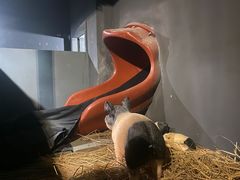 -E+有冰工厂·昆仑寒宫2(五角场店)