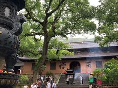 -普陀山风景名胜区-法雨禅寺