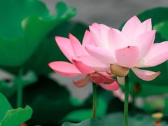 -陶然亭公园
