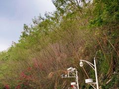 -梧桐山风景名胜区