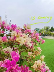 -维倪月子会所(独栋庭院·南海店)