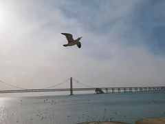 -星海广场