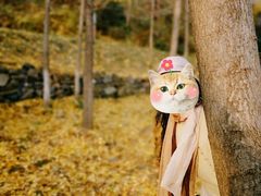 -千年银杏谷文化旅游区