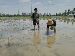 -麦粒鸟亲子游