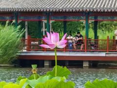 -西海子公园