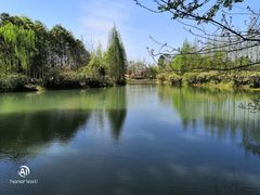 -桤木河湿地公园