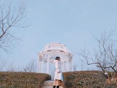 -北京张裕爱斐堡酒庄