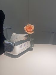 点击看大图 -玛莲朵·海菲秀冰珀科