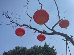 -三圣花乡旅游区