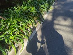 -深圳隐秀山居酒店