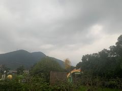 -山沟沟景区