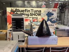 -大起水产回转寿司(道顿堀店)