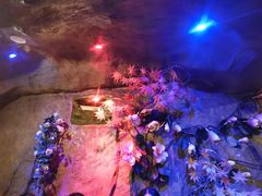 -醉小酒馆·川菜·江湖菜·重庆菜(观音桥旗舰店)