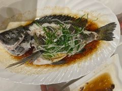 -锦粤宫·精致粤菜(阳西店)
