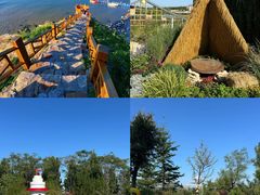 -烟台海昌鲸鲨海洋公园