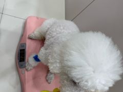 -御宝贝24h宠物医院·转诊中心·CT核磁血透中心(厦门总院)