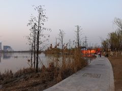 -九里湖国家湿地公园
