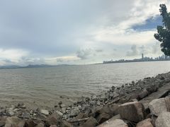 -深圳湾公园(南山区)