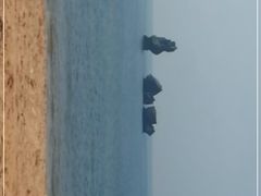 -碣石国家级海洋公园