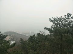 -石老人观光园
