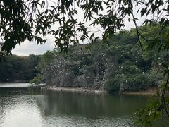 -广州莲花山旅游区