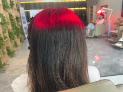 -碧莲盛·不剃发植发