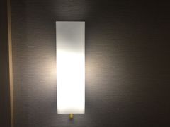 -麗枫酒店(西安大明宫龙首原地铁站店)