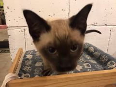 -么么咖啡(燕郊店)