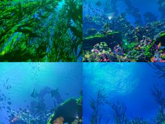 -海合安天津极地海洋公园