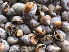 白灼花螺-淇沙湾渔村餐厅